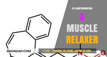 Clarithromycin and Muscle Relaxation: Understanding Its Role and Effects