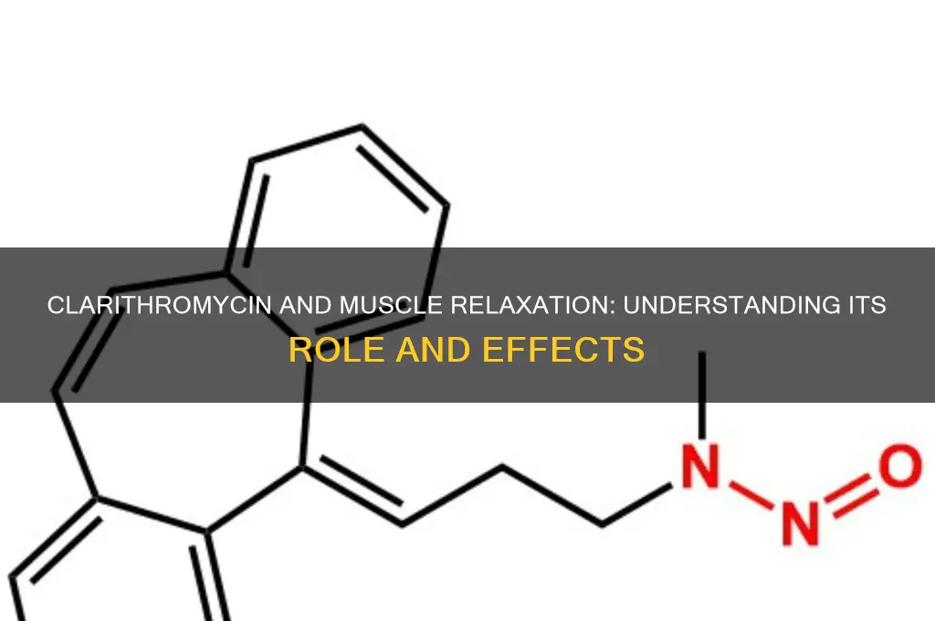 is clarithromycin a muscle relaxer