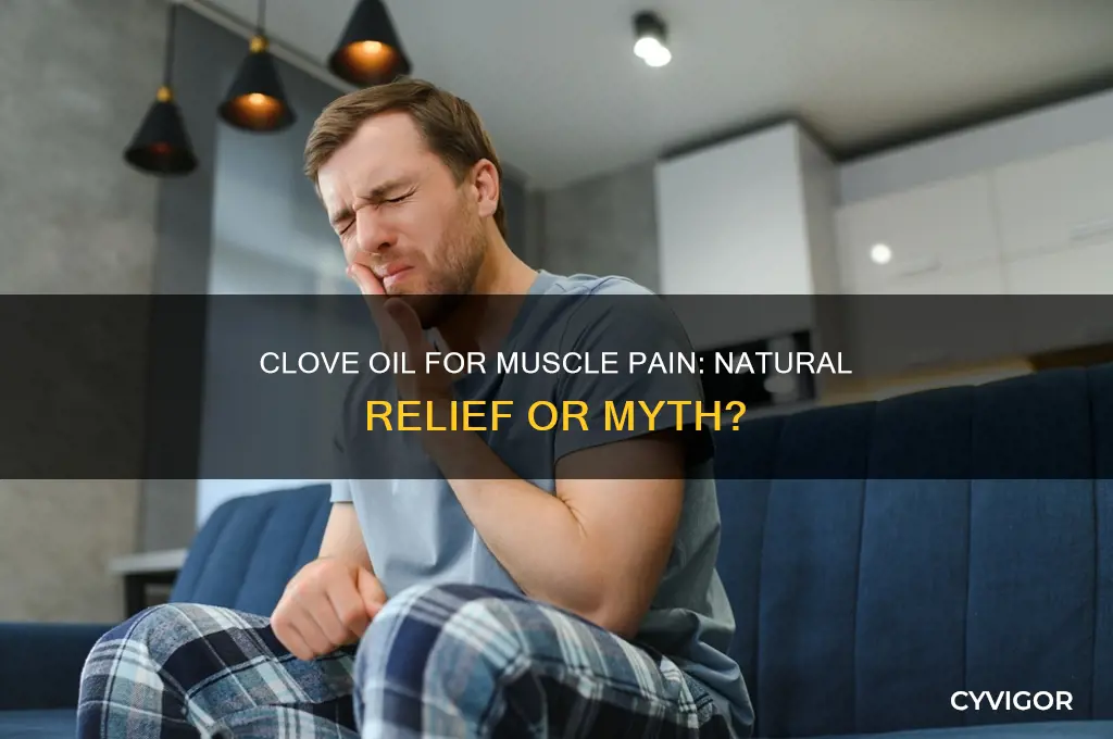 is clove oil good for muscle pain