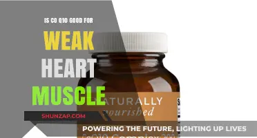 CoQ10 Benefits: Strengthening Weak Heart Muscles Naturally Explained