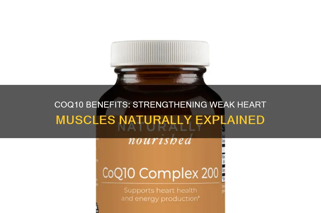 is co q10 good for weak heart muscle