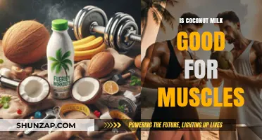 Coconut Milk Benefits: Boosting Muscle Recovery and Growth Naturally