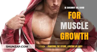 Coconut Oil and Muscle Growth: Benefits, Myths, and Effective Use