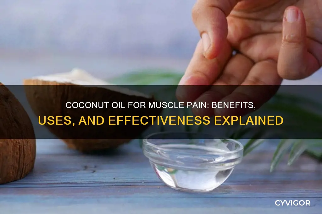 is coconut oil good for muscle pain
