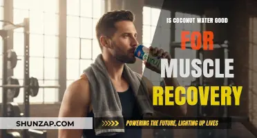 Coconut Water Benefits: Enhancing Muscle Recovery After Intense Workouts