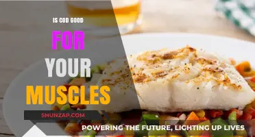 Is Cod the Secret to Building Stronger, Healthier Muscles?