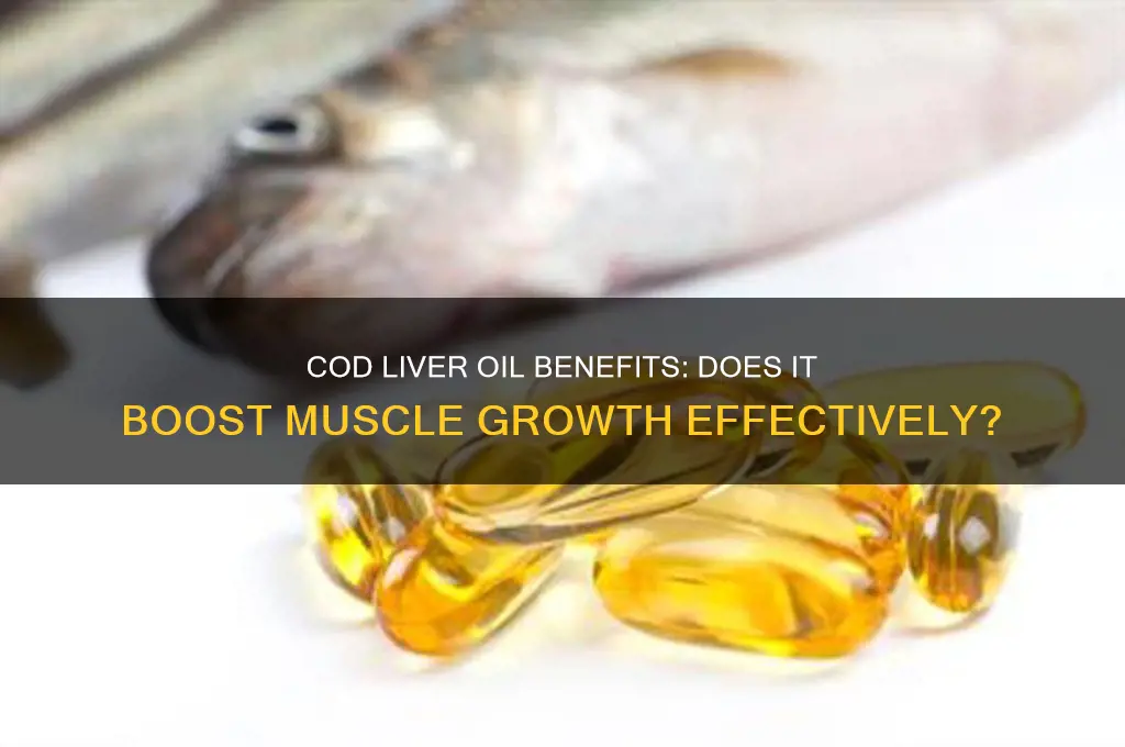 is cod liver oil good for muscle growth