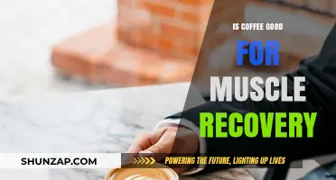 Coffee and Muscle Recovery: Benefits, Myths, and Optimal Timing Explained