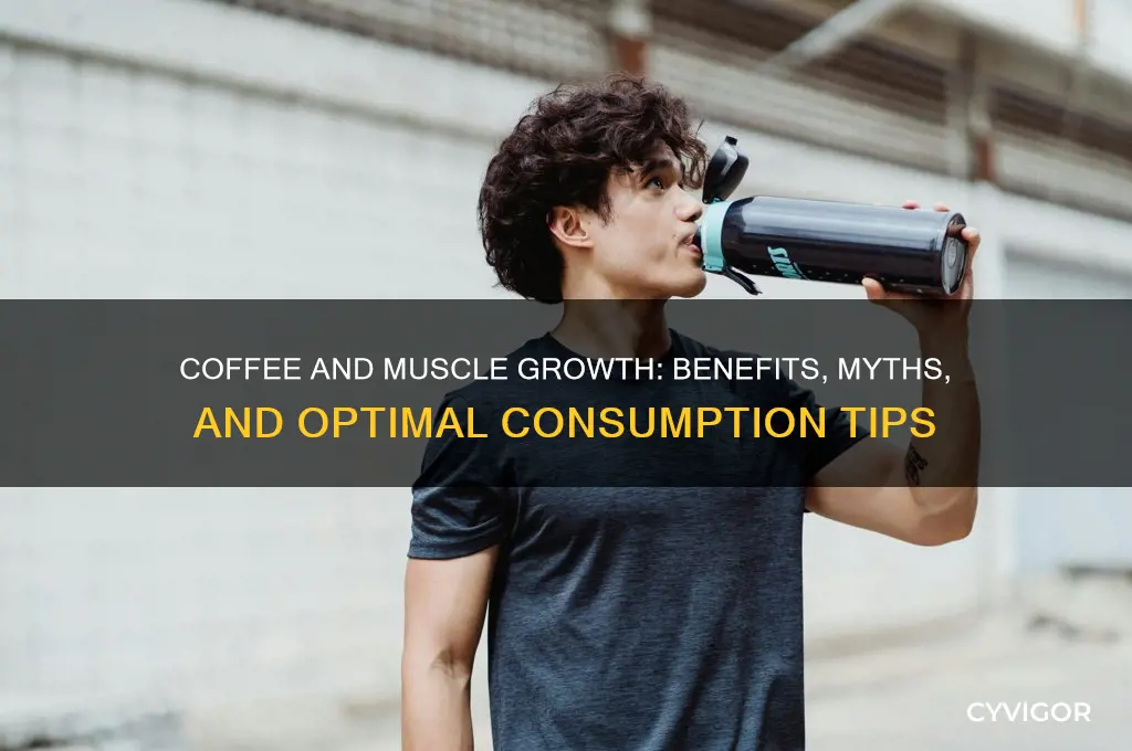 is coffee good for muscle