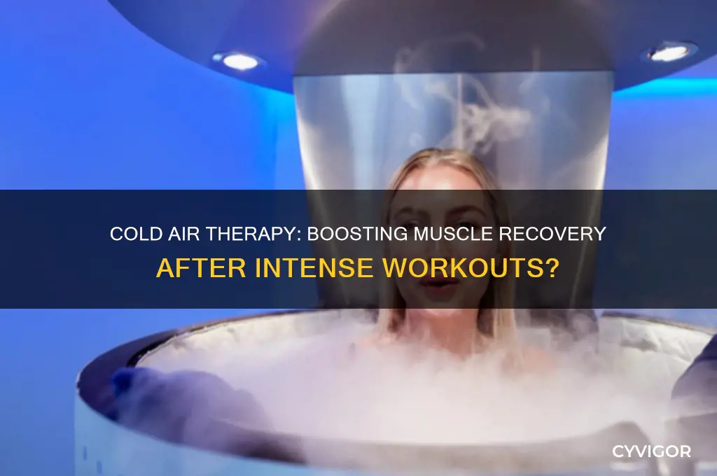 is cold air good for muscle recovery