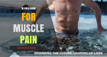Chilling Out: How Cold Therapy Eases Muscle Pain Effectively