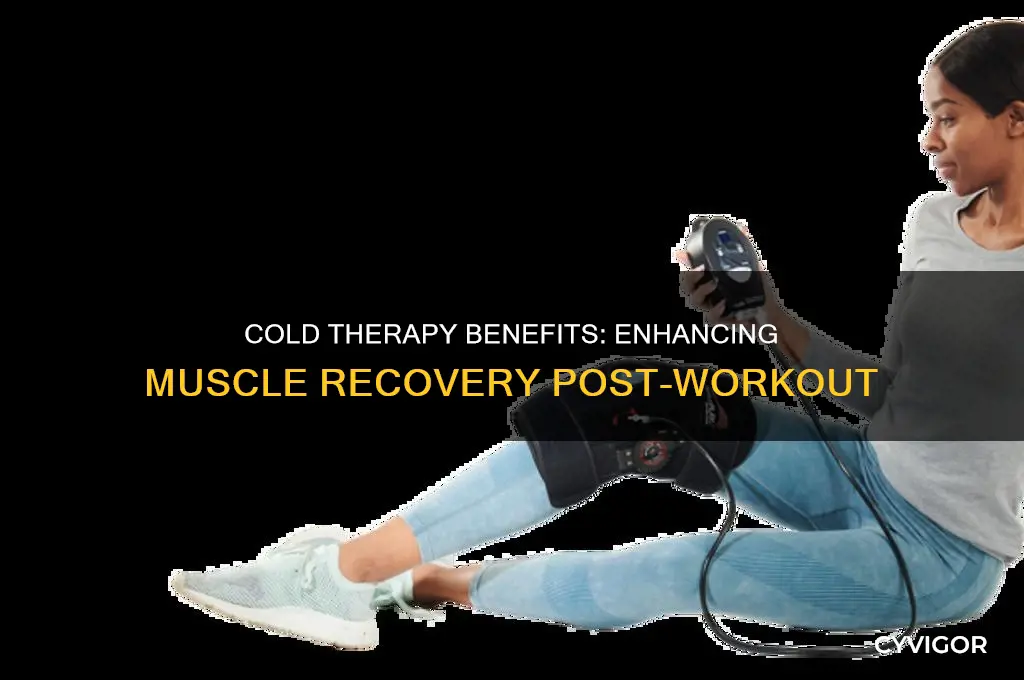 is cold good for muscle recovery