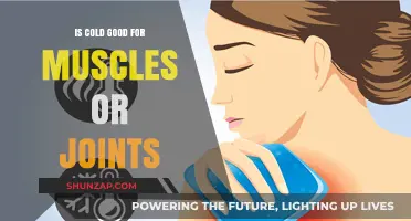Cold Therapy: Benefits for Muscle Recovery and Joint Pain Relief