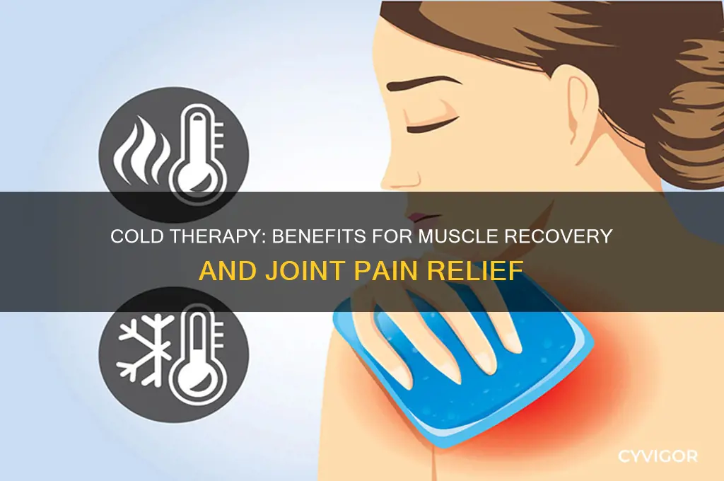 is cold good for muscles or joints