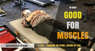 Cold Therapy Benefits: How Low Temperatures Impact Muscle Recovery and Health