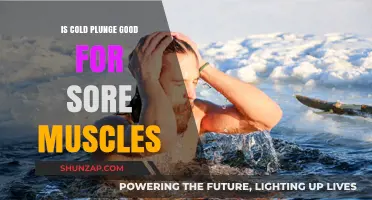 Cold Plunge Therapy: Effective Relief for Sore Muscles or Myth?