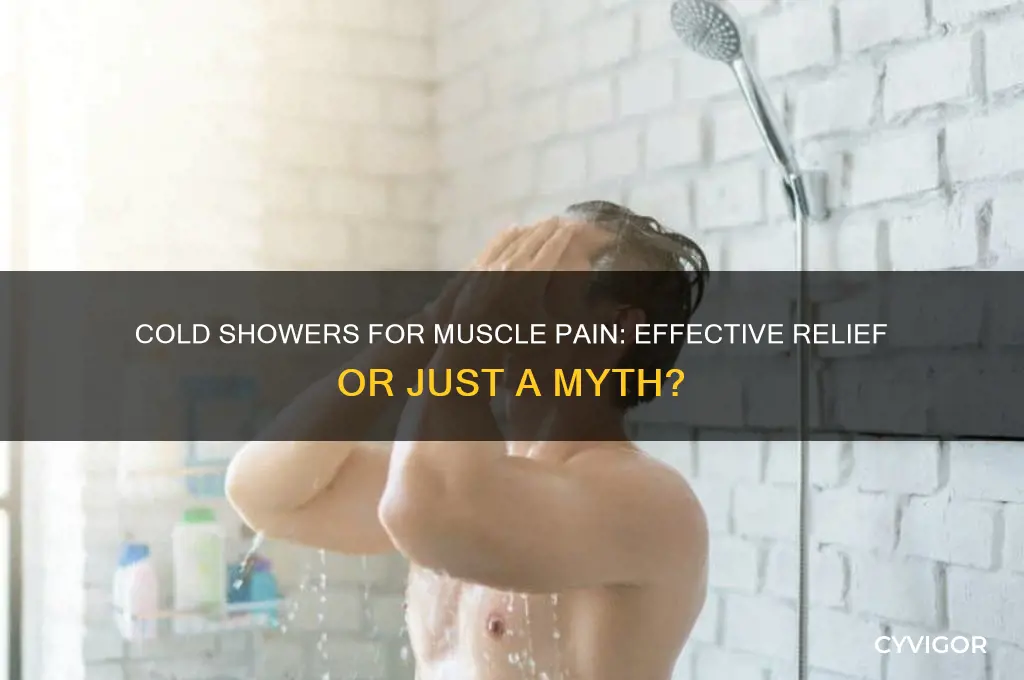 is cold shower good for muscle pain