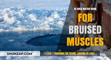 Cold Water Therapy: Effective Relief for Bruised Muscles or Myth?