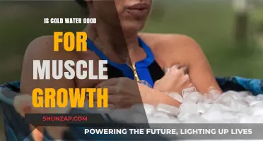 Cold Water and Muscle Growth: Unlocking Recovery Benefits for Gains