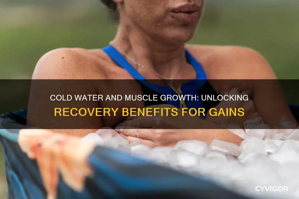 is cold water good for muscle growth