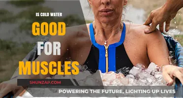 Cold Water Therapy: Benefits for Muscle Recovery and Performance
