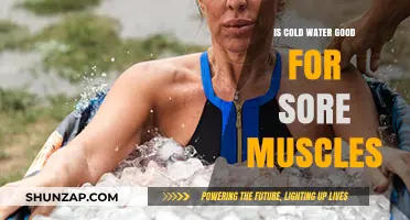 Cold Water Therapy: Effective Relief for Sore Muscles or Myth?