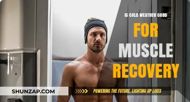 Cold Weather's Impact: Enhancing Muscle Recovery After Intense Workouts?