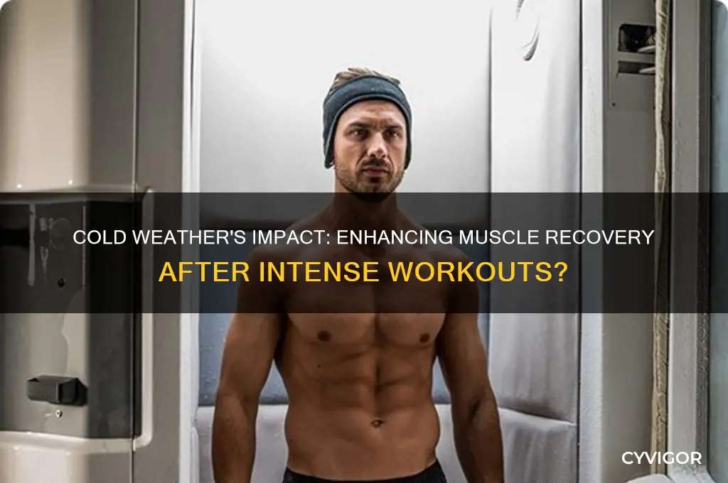 is cold weather good for muscle recovery