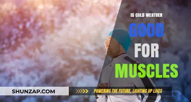 Cold Weather and Muscles: Benefits, Risks, and Recovery Insights