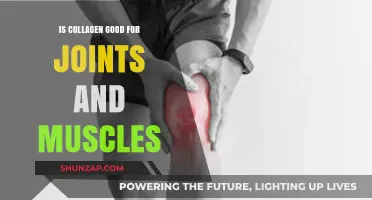 Collagen Benefits: Enhancing Joint Health and Muscle Recovery Naturally