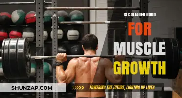 Collagen Benefits for Muscle Growth: Fact or Fiction?