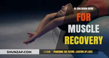 Collagen Benefits: Enhancing Muscle Recovery and Repair Post-Workout