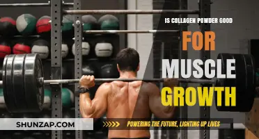 Collagen Powder for Muscle Growth: Benefits, Myths, and Science Explained