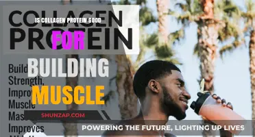 Unlocking Muscle Growth: The Benefits of Collagen Protein
