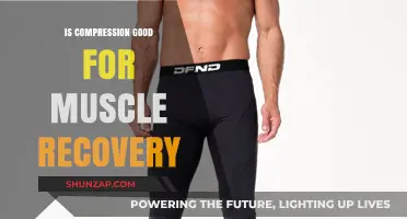 Compression Gear: Enhancing Muscle Recovery Post-Workout?