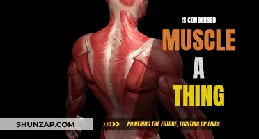 Muscle Condensation: Fact or Fiction?
