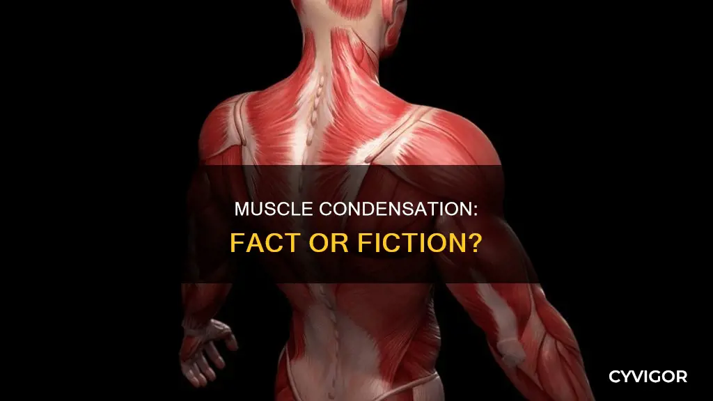 is condensed muscle a thing