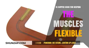 Copper's Role in Muscle Flexibility: Benefits and Scientific Insights