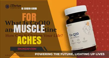 CoQ10 for Muscle Aches: Benefits, Uses, and Effectiveness Explained