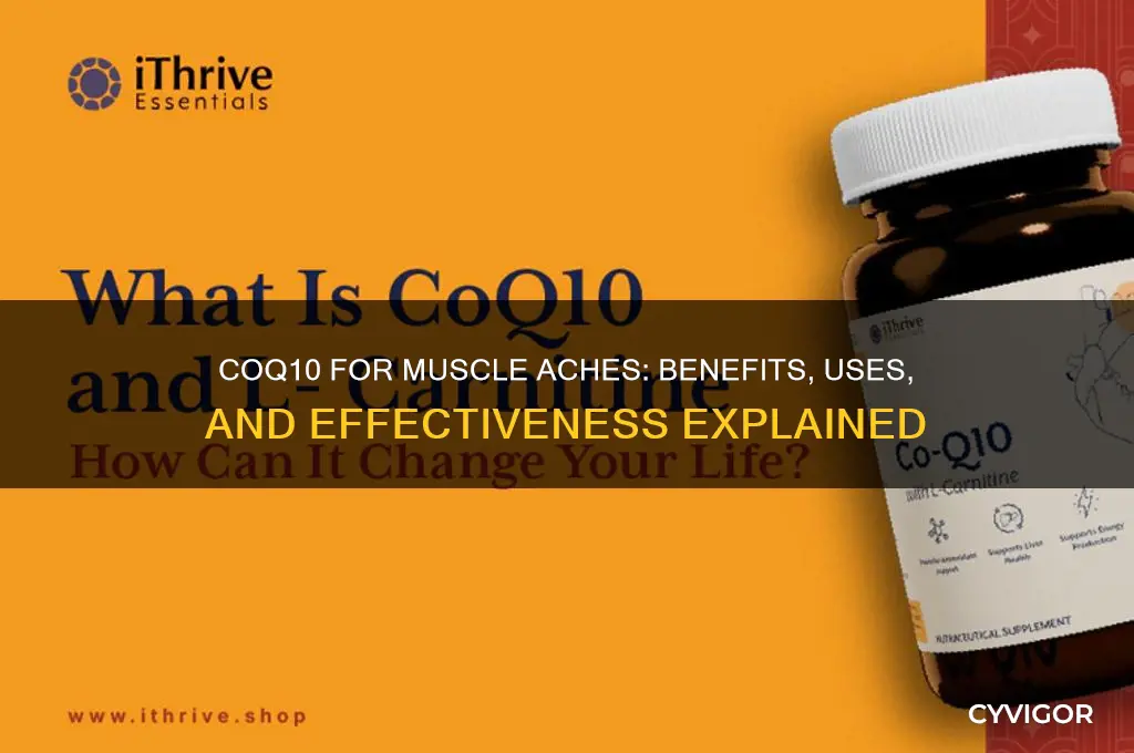 is coq10 good for muscle aches