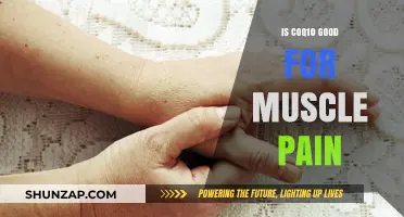 CoQ10 for Muscle Pain: Benefits, Uses, and Effectiveness Explained