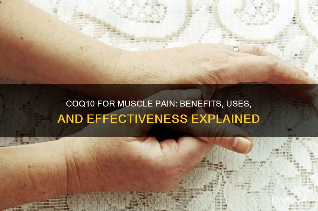 is coq10 good for muscle pain