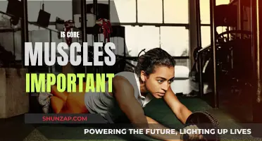 Core Muscles: Why They're the Foundation of Fitness