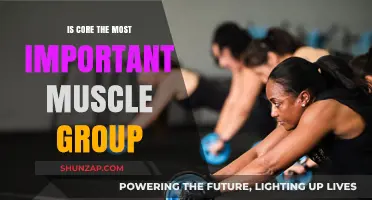 Core Strength: The Ultimate Muscle Group for Fitness and Function?