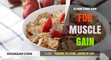 Corn Flakes for Muscle Gain: Effective Breakfast Choice or Myth?