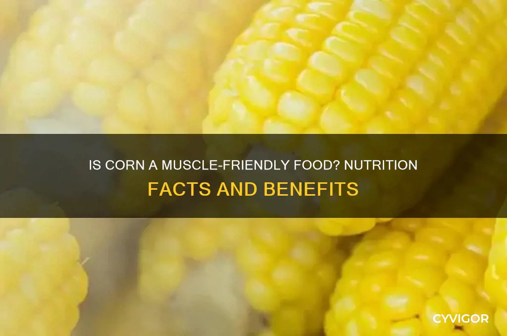 is corn good for muscle