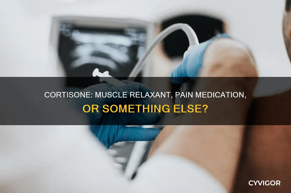is cortisone a muscle relaxant or pain med