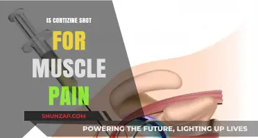 Cortisone Injections for Muscle Pain: Benefits, Risks, and Effectiveness