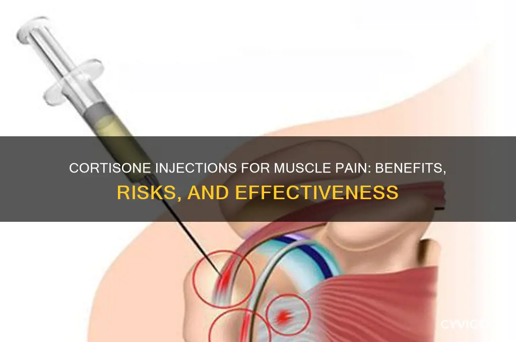 is cortizine shot for muscle pain