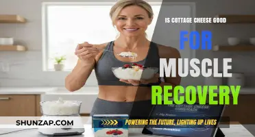 Cottage Cheese for Muscle Recovery: Benefits and Nutritional Insights